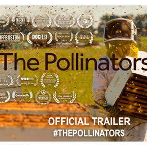 The pollinators