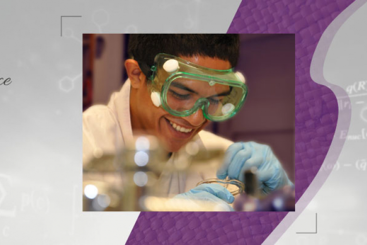 Physical Sciences Program